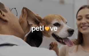 Pet Love project